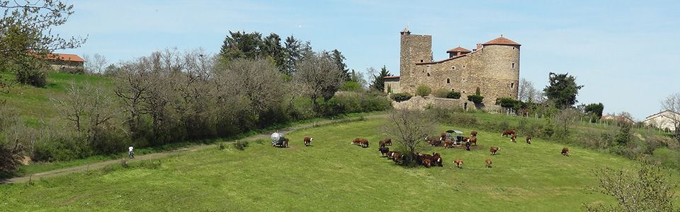 bosbomparent-01-pano.jpg