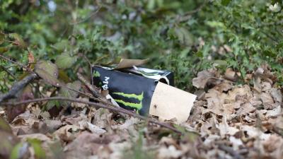 Art et déchets